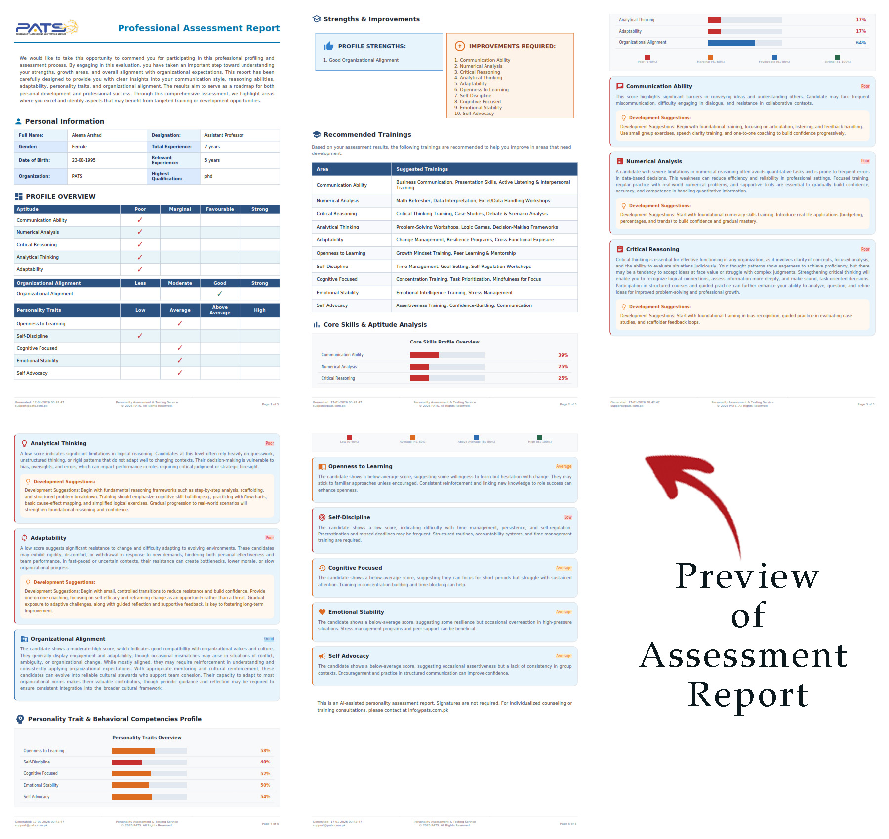 PATS Professional Assessment Report Sample
