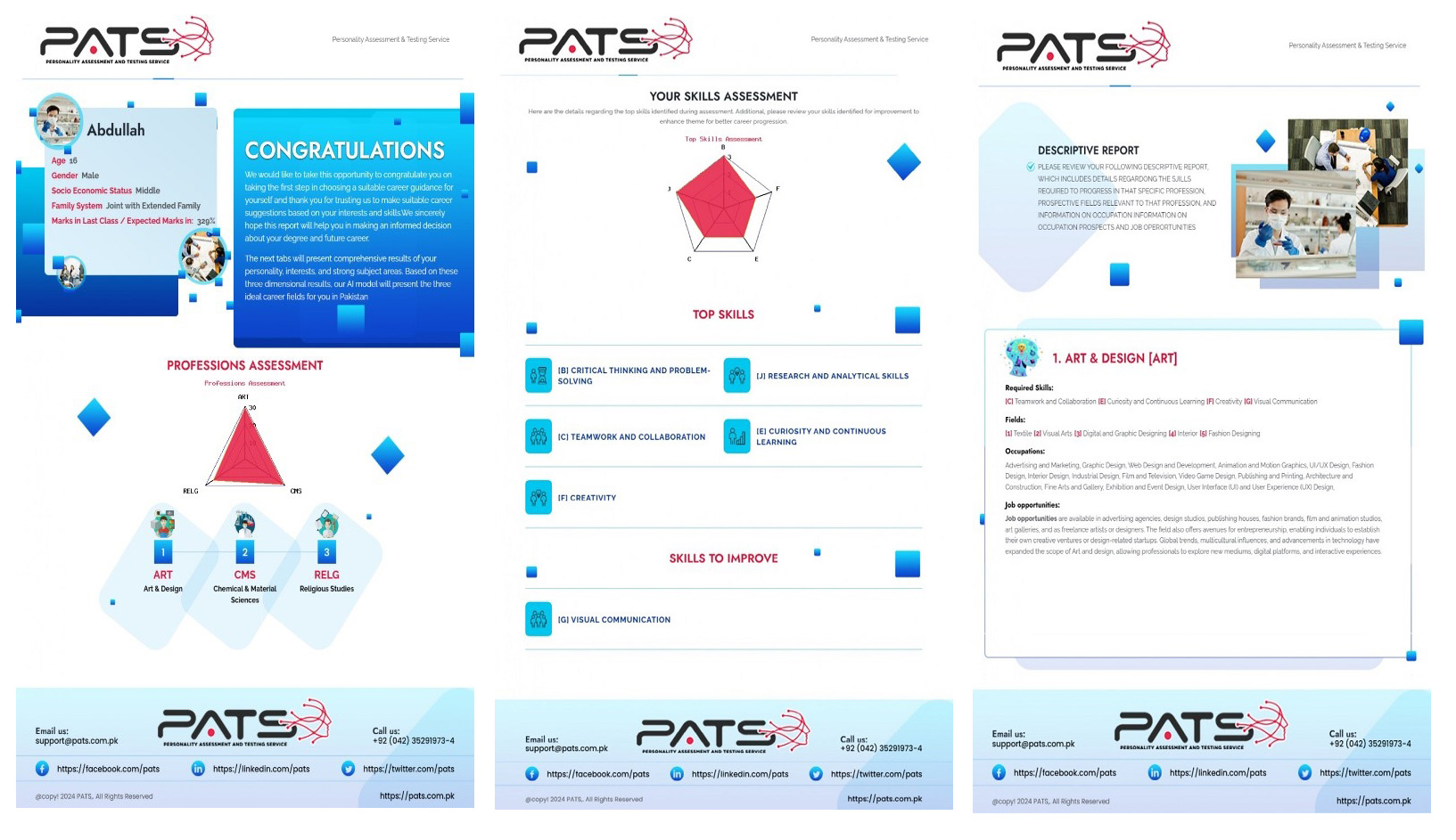 PATS Professional Assessment Report Sample